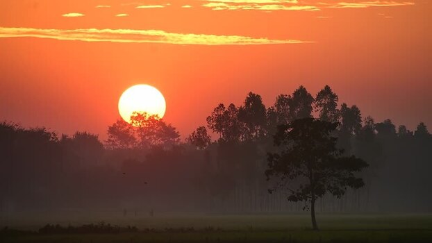 View of sunset over silhouetted trees and rural fields Bangladesh. View of sunset over silhouetted trees and rural fields Bangladesh.