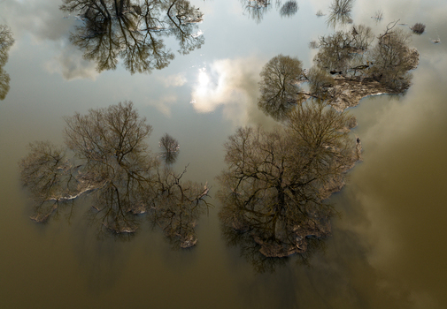 Aerial view of bare trees standing in floodwaters with reflections of clouds and the sun on the water surface in Kedainiai Kaunas County Lithuania. Aerial view of bare trees standing in floodwaters with reflections of clouds and the sun on the water surface in Kedainiai Kaunas County Lithuania.
