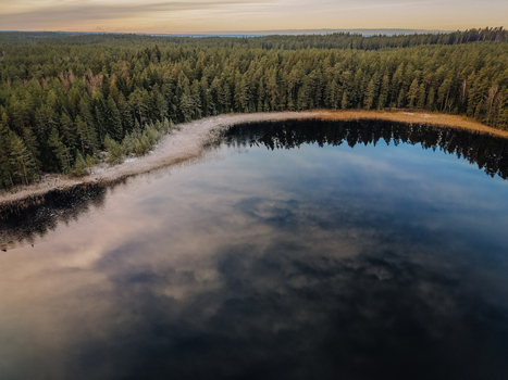 Aerial view of a pristine forest lake with calm dark water reflecting the sky surrounded by a dense evergreen pine forest in Smiltene Smiltene Municipality Latvia.