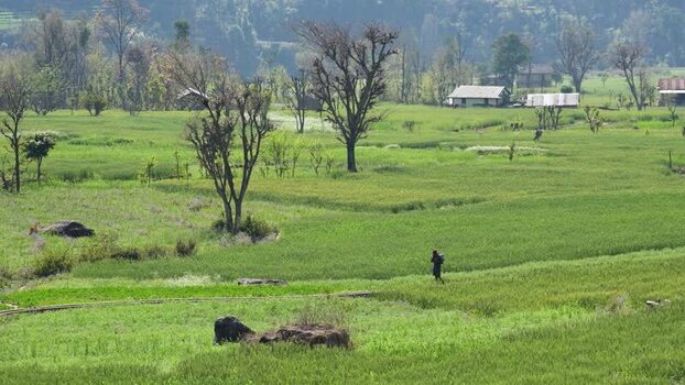 View of lush green fields and rural landscape in Surkhet Nepal. View of lush green fields and rural landscape in Surkhet Nepal.
