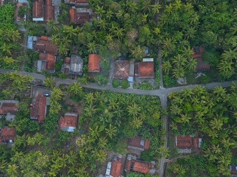 Aerial view of houses with red tiled roofs nestled among dense palm trees and lush tropical vegetation in a rural village setting in Kutoarjo Central Java Indonesia. Aerial view of houses with red tiled roofs nestled among dense palm trees and lush tropical vegetation in a rural village setting in Kutoarjo Central Java Indonesia.