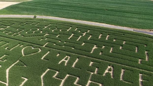 Aerial view of Labyrinthis corn maze in Soultz Haut Rhin France.