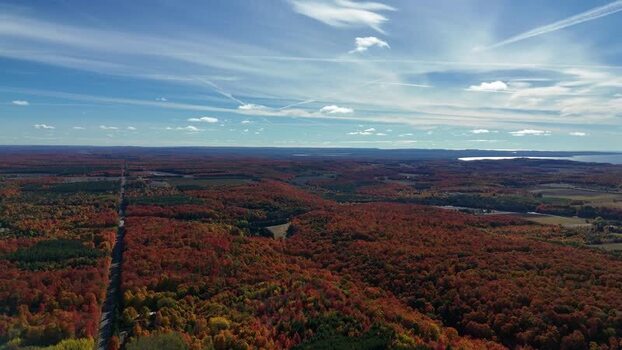 Aerial view of Egeler Scenic View and autumn forest United States.