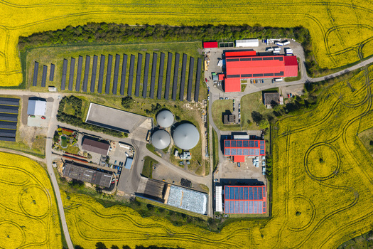 Aerial view of a biogas plant and agricultural facility surrounded by yellow rapeseed fields featuring solar panels and red roofed buildings in Brno South Moravian Region Czechia.