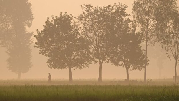 View of a person walking through a misty field Bangladesh.