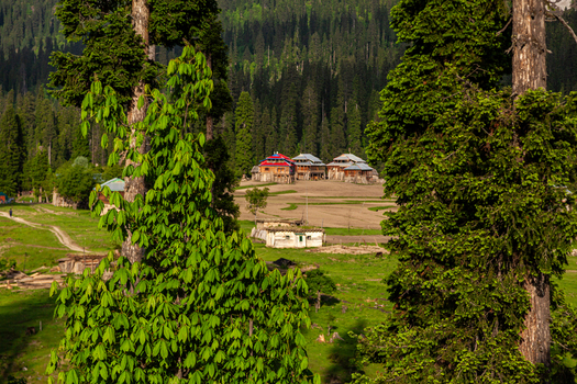 View of traditional wooden houses nestled in a lush green valley surrounded by dense pine forests and tall trees in Arang Kel Azad Kashmir Pakistan. View of traditional wooden houses nestled in a lush green valley surrounded by dense pine forests and tall trees in Arang Kel Azad Kashmir Pakistan.