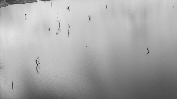 Aerial view of Lake Jindabyne with dead trees protruding from the calm water surface Snowy Monaro Regional Council New South Wales Australia.