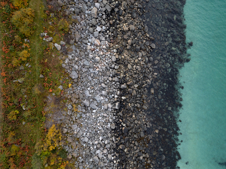 Aerial view of the rocky shoreline at Rorvikstranda with autumn vegetation and clear turquoise water in Henningsvaer Nordland Norway.