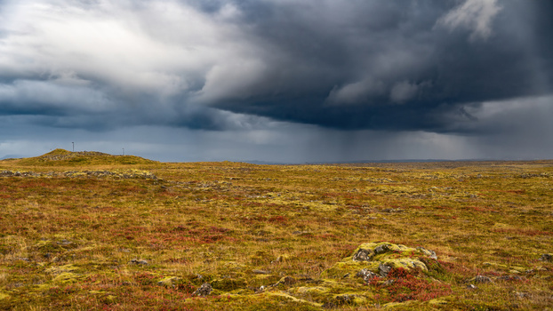 View of a vast moss covered lava field under a dramatic dark stormy sky in Iceland.
