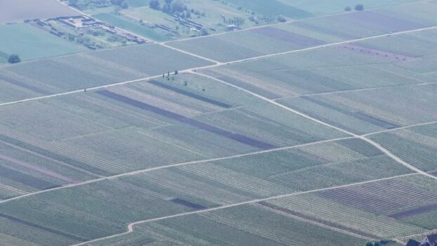 Aerial view of vast agricultural fields and vineyards France.