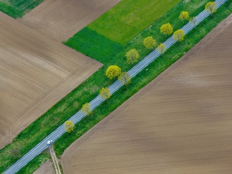 Aerial view of a straight road cutting through fields lined with trees showing spring foliage in full bloom Neuf Brisach Grand Est France.
