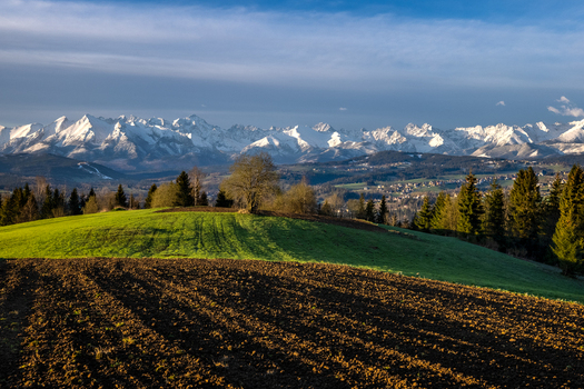 View of rolling green hills and plowed fields with the snow capped Tatra Mountains in the background under a blue sky in Czarna Gora Lesser Poland Poland. View of rolling green hills and plowed fields with the snow capped Tatra Mountains in the background under a blue sky in Czarna Gora Lesser Poland Poland.