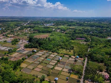 Aerial view of fish ponds in a rural landscape surrounded by lush green trees and vegetation in Banjar Regency South Kalimantan Indonesia. Aerial view of fish ponds in a rural landscape surrounded by lush green trees and vegetation in Banjar Regency South Kalimantan Indonesia.