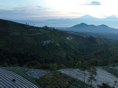 Aerial view of the terraced agricultural fields of Linggar Jati nestled among lush green mountains under a soft morning sky in Kecamatan Kaliangkrik Jawa Tengah Indonesia. Aerial view of the terraced agricultural fields of Linggar Jati nestled among lush green mountains under a soft morning sky in Kecamatan Kaliangkrik Jawa Tengah Indonesia.