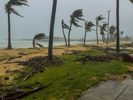 San Jose Tinian Northern Mariana Islands 06 July 2026 View of palm trees bending in strong winds on the beach during the passage of Super Typhoon Bavi. San Jose Tinian Northern Mariana Islands 06 July 2026 View of palm trees bending in strong winds on the beach during the passage of Super Typhoon Bavi.