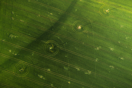 Aerial view of a vibrant green agricultural field with circular patterns around utility poles and diagonal tractor tracks Chvalkovice Hradec Kralove Region Czechia.