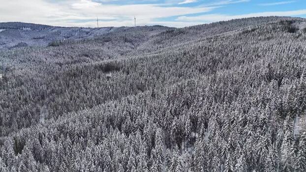Aerial view of snow covered forest in Weststeiermark Austria.