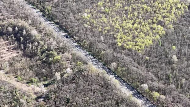 Aerial view of road cutting through forest France.