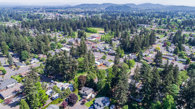 Aerial view of Northeast Glisan Street passing through a lush residential neighborhood with dense evergreen trees and suburban houses under a clear sky in Portland Oregon United States. Aerial view of Northeast Glisan Street passing through a lush residential neighborhood with dense evergreen trees and suburban houses under a clear sky in Portland Oregon United States.