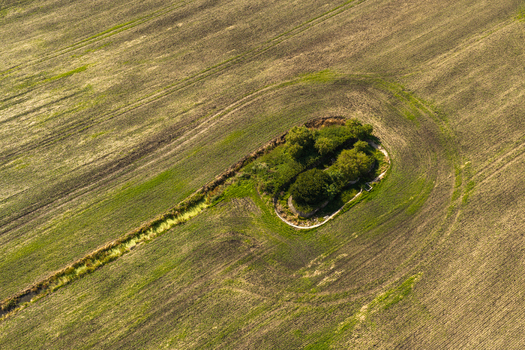 Aerial view of a small lush green island of trees surrounded by a curved ditch in a vast ploughed agricultural field in the Kashubia region Pelplin Pomeranian Voivodeship Poland.