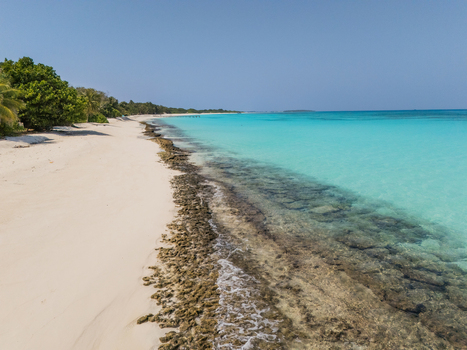 Aerial view of the white sandy beach meeting the turquoise waters creating a mesmerizing contrast Vashafaru Island Thiladhummathi Atoll Maldives.