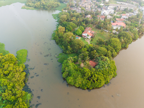 Aerial view of lush green vegetation and traditional houses with red roofs along the calm waters of a tropical lake in Galle Southern Province Sri Lanka.