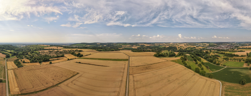 Aerial view of golden wheat fields and rolling agricultural landscape under a vast blue sky with light clouds in Weingarten Baden Wurttemberg Germany. Aerial view of golden wheat fields and rolling agricultural landscape under a vast blue sky with light clouds in Weingarten Baden Wurttemberg Germany.