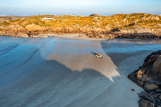 Aerial view of a person riding a horse on the sandy beach at sunset with rugged rocky coastline and golden light in Cloughglass County Donegal Ireland. Aerial view of a person riding a horse on the sandy beach at sunset with rugged rocky coastline and golden light in Cloughglass County Donegal Ireland.