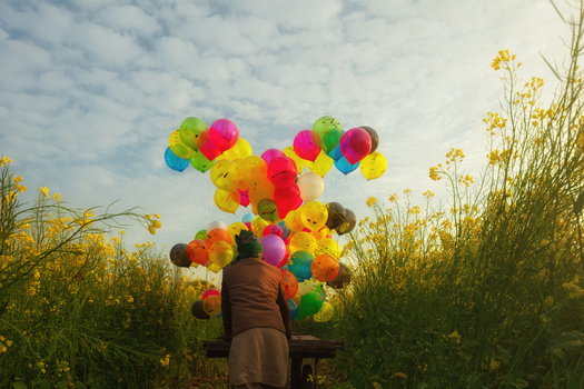 View of a person standing in a field of yellow mustard flowers holding a large bunch of colorful balloons under a cloudy sky in Jhelum Punjab Pakistan.