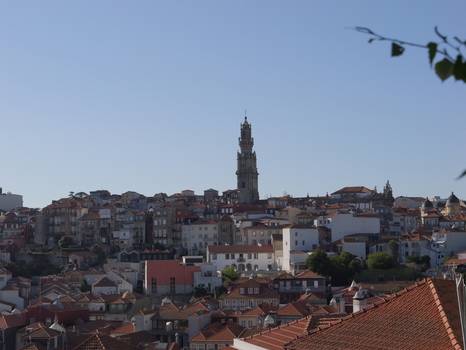 View of the historic Clerigos Tower rising above the dense terracotta rooftops and traditional architecture of the old town in Porto Porto District Portugal. View of the historic Clerigos Tower rising above the dense terracotta rooftops and traditional architecture of the old town in Porto Porto District Portugal.