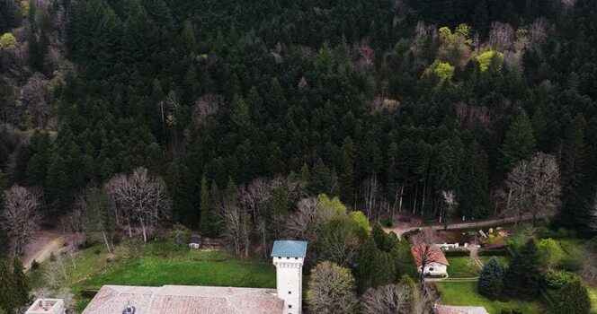 Aerial view of a historic building with a stone tower in the forest Italy. Aerial view of a historic building with a stone tower in the forest Italy.