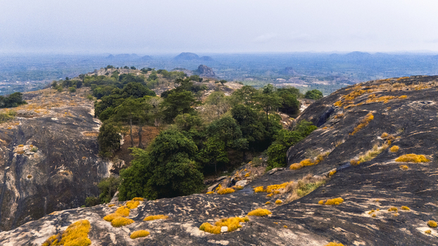 Aerial view of dark lichen covered rocks contrast with patches of vibrant green foliage painting a textured landscape under a hazy sky Oyo Oyo Nigeria. Aerial view of dark lichen covered rocks contrast with patches of vibrant green foliage painting a textured landscape under a hazy sky Oyo Oyo Nigeria.