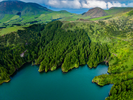 Aerial view of the vibrant green trees meeting the turquoise waters of Lake Comprida Flores Azores Portugal.