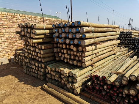 View of neatly stacked wooden poles and planks in a timber yard showcasing natural wood textures and orderly storage in Pretoria Gauteng South Africa. View of neatly stacked wooden poles and planks in a timber yard showcasing natural wood textures and orderly storage in Pretoria Gauteng South Africa.