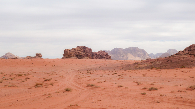 View of the red sand dunes and dramatic sandstone rock formations of the Wadi Rum Desert with tire tracks leading through the landscape in Wadi Rum Village Aqaba Governorate Jordan. View of the red sand dunes and dramatic sandstone rock formations of the Wadi Rum Desert with tire tracks leading through the landscape in Wadi Rum Village Aqaba Governorate Jordan.