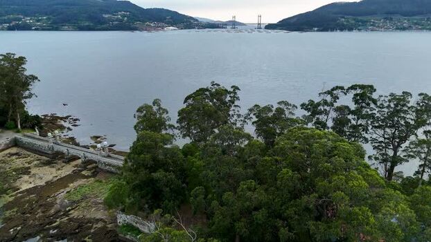Aerial view of Isla de San Anton and Rande Bridge Spain.