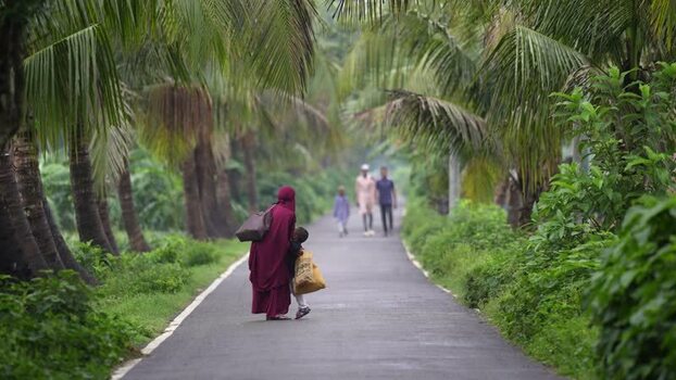 View of people walking on a palm lined road in Bogura Bangladesh. View of people walking on a palm lined road in Bogura Bangladesh.