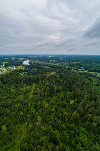 Aerial view of a dense forest landscape with a winding river flowing through the lush green trees under a cloudy sky in Latvia. Aerial view of a dense forest landscape with a winding river flowing through the lush green trees under a cloudy sky in Latvia.