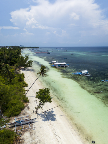 Aerial view of Doljo Beach with traditional outrigger boats anchored in turquoise waters along the white sandy coastline in Panglao Central Visayas Philippines.