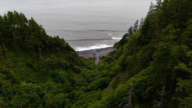 Aerial view of the Lost Coast featuring a lush green forested valley leading down to a dark sand beach and crashing waves in Humboldt County California United States.