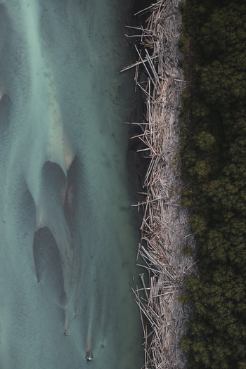 Aerial view of Alaska Wilderness featuring a riverbank lined with driftwood and dense forest bordering turquoise glacial waters in Palmer Alaska United States. Aerial view of Alaska Wilderness featuring a riverbank lined with driftwood and dense forest bordering turquoise glacial waters in Palmer Alaska United States.