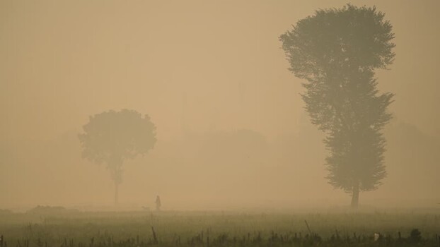 View of a person walking through a misty field in Bangladesh. View of a person walking through a misty field in Bangladesh.