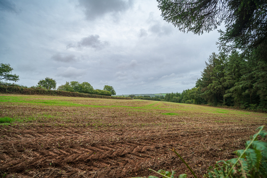 View of a freshly plowed agricultural field bordered by a dense forest under a cloudy sky in Looe Cornwall United Kingdom. View of a freshly plowed agricultural field bordered by a dense forest under a cloudy sky in Looe Cornwall United Kingdom.