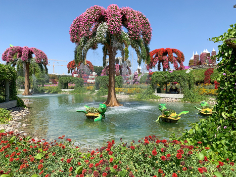 View of floral palm trees and turtle sculptures in a pond at Dubai Miracle Garden with vibrant flower beds under a clear blue sky in Dubai Dubai United Arab Emirates. View of floral palm trees and turtle sculptures in a pond at Dubai Miracle Garden with vibrant flower beds under a clear blue sky in Dubai Dubai United Arab Emirates.
