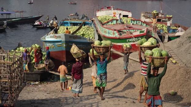 View of workers unloading watermelons at Sadarghat Bangladesh.