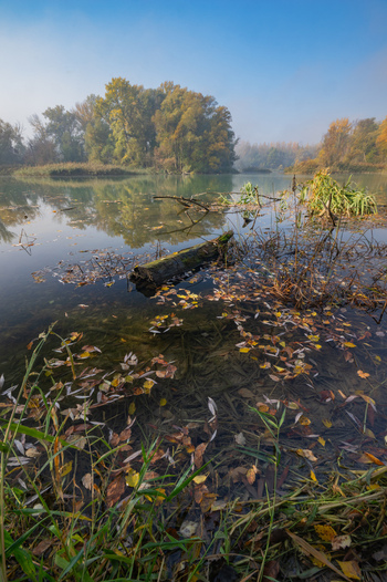 View of the tranquil oxbow lake mirroring the sky with fallen leaves scattered on the water s surface and shoreline in Bodiky Trnava Region Slovakia. View of the tranquil oxbow lake mirroring the sky with fallen leaves scattered on the water s surface and shoreline in Bodiky Trnava Region Slovakia.
