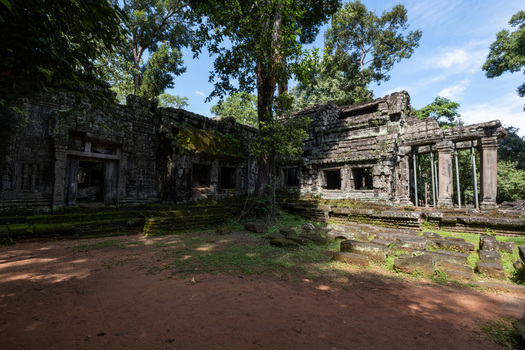 View of the ancient stone ruins of Ta Prohm temple surrounded by lush jungle trees and moss covered walls in Krong Siem Reap Siem Reap Province Cambodia. View of the ancient stone ruins of Ta Prohm temple surrounded by lush jungle trees and moss covered walls in Krong Siem Reap Siem Reap Province Cambodia.