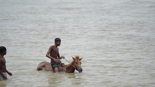 View of a young man riding a horse through river water Bangladesh. View of a young man riding a horse through river water Bangladesh.