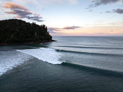 Aerial view of surfers riding long rolling waves near a forested headland at sunset in Whangamata Coromandel New Zealand. Aerial view of surfers riding long rolling waves near a forested headland at sunset in Whangamata Coromandel New Zealand.