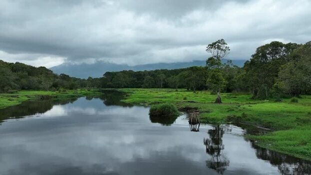 Aerial view of Rawa Bento wetlands in Gunung Tujuh Indonesia. Aerial view of Rawa Bento wetlands in Gunung Tujuh Indonesia.